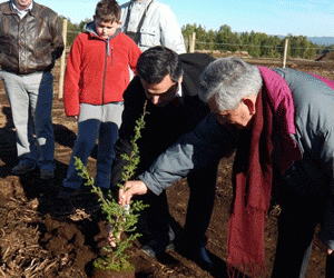 Seremi de Obras Públicas participa en actividad de reforestación de Aeródromo Mocopulli