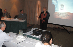 MOP presentó avances del estudio para mejorar Aeródromo Teniente Marsh en la Antártica